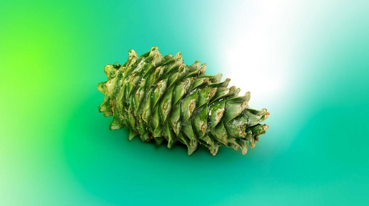 Cibersegurança 2026: Guia Estratégico de Prioridades e Ações Concretas